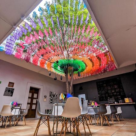 Bkl Hotel Oaxaca Экстерьер фото