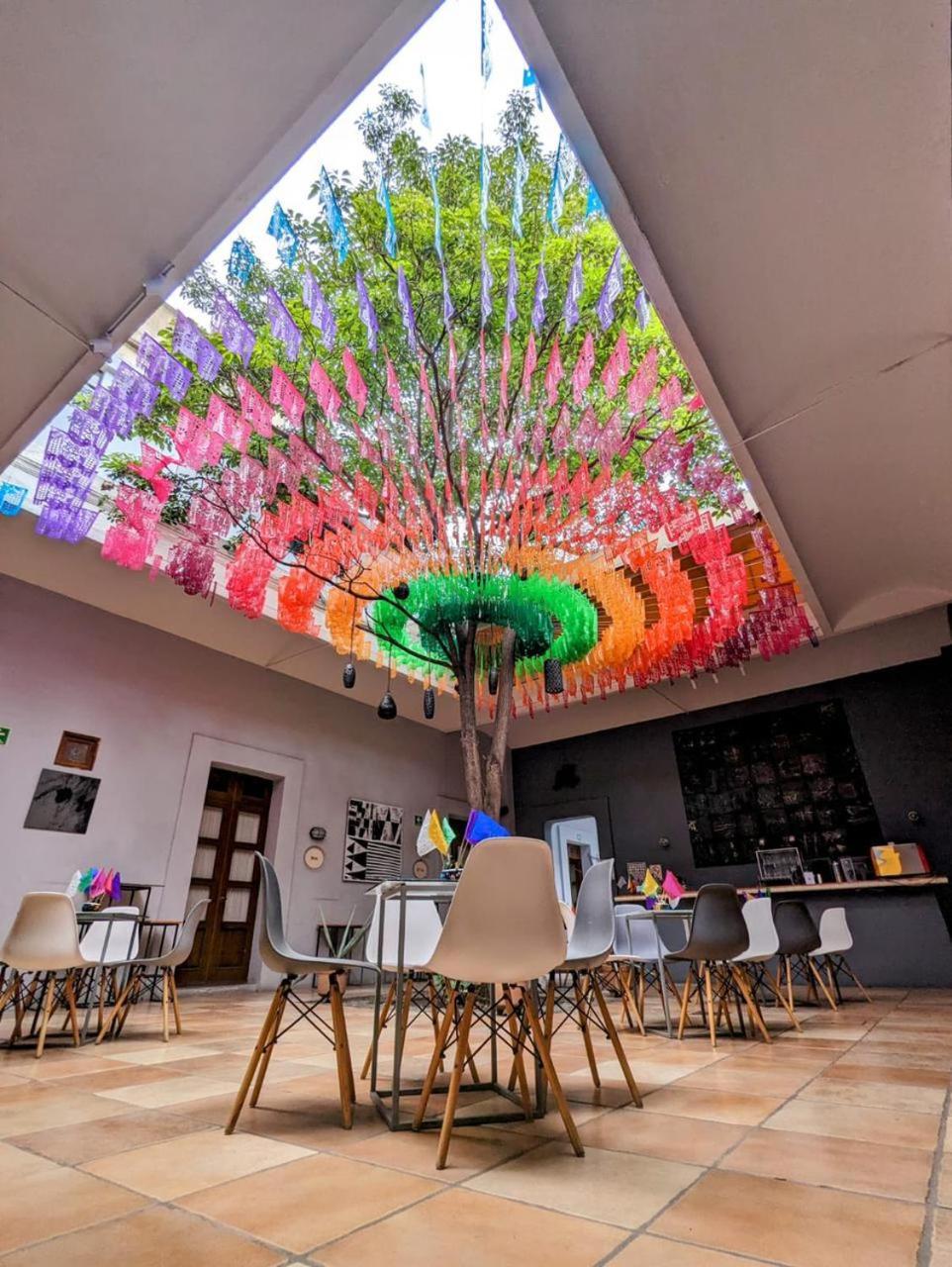Bkl Hotel Oaxaca Экстерьер фото